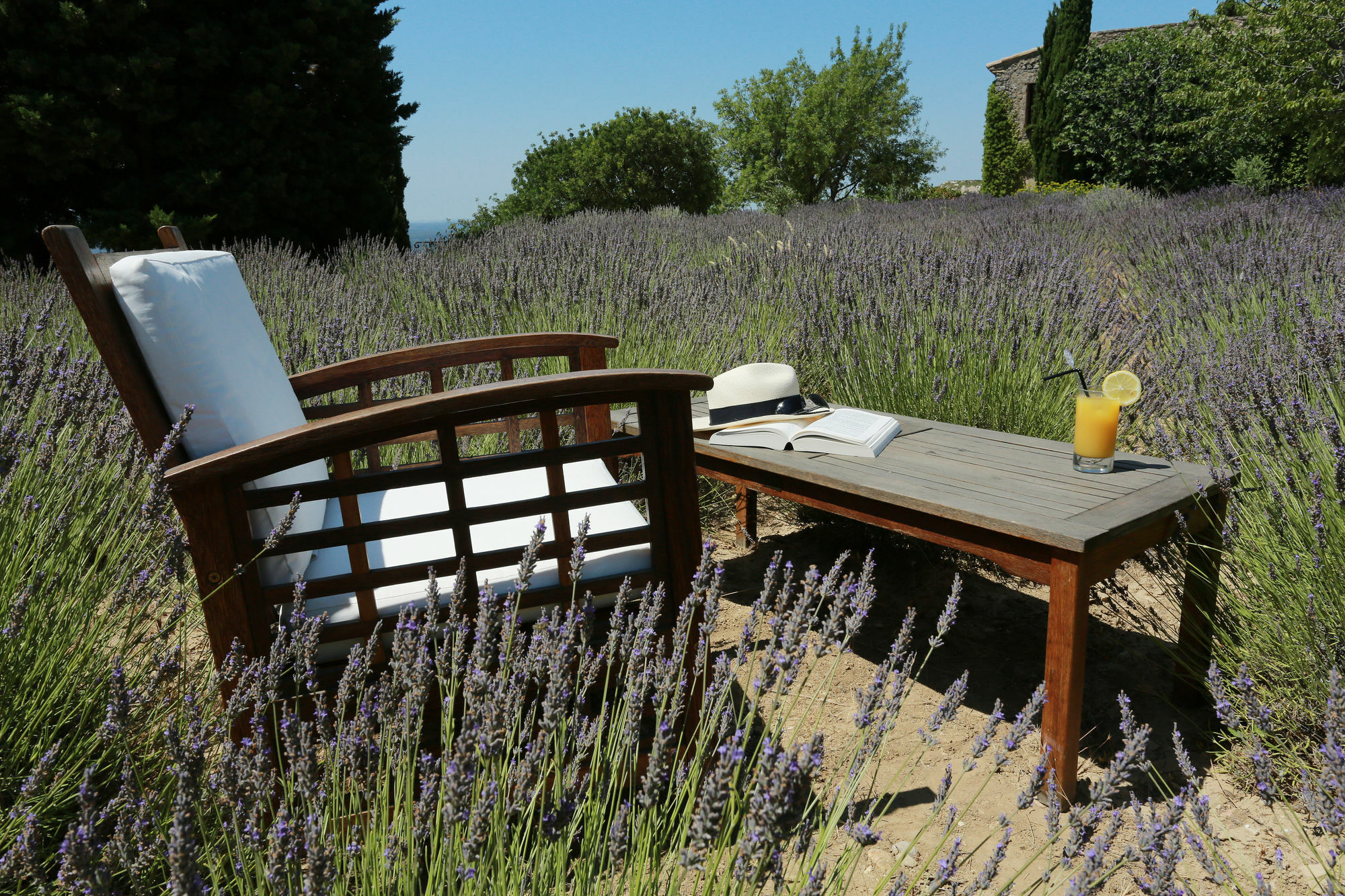 Hotel Garrigae Abbaye De Sainte Croix Salon-de-Provence Exteriér fotografie